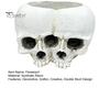 Gothic Style Gift Double Skull Flowerpot for Succulents Green Plants, Realistic Resin Planter, Small Pot Plant Halloween Party & Indoor Outdoor