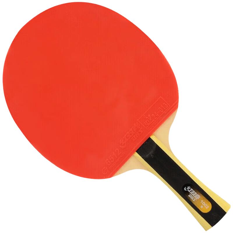 DHS Beginner 1-Star Table Tennis Racket Set