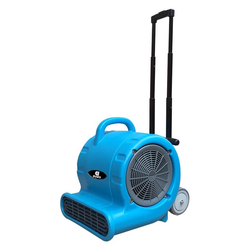 Dingjie Shengshi DJ25 Commercial Floor Dryer CN plug (adapter included)