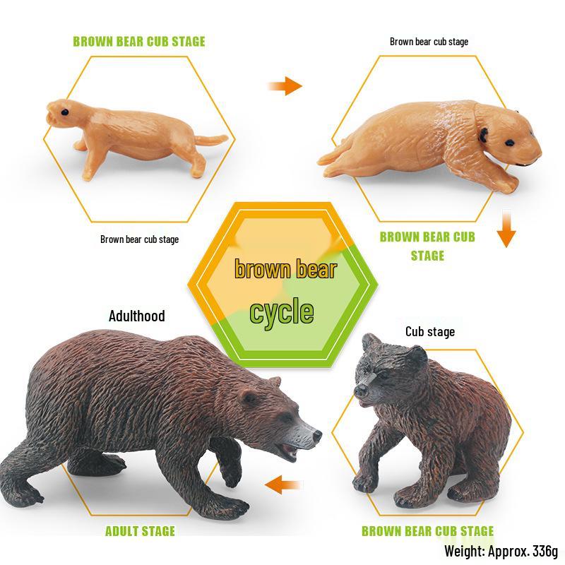 Animal Growth Cycle Models: Chicken, Duck, Goose, Butterfly, Turtle, Frog Montessori Teaching Figurines