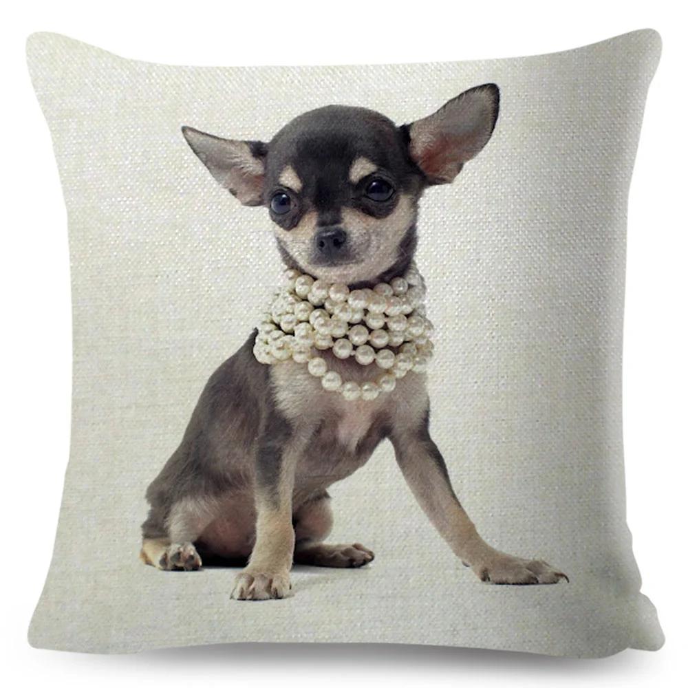 Niedlicher Kleiner Hund Chihuahua Kissenbezug Deko Liebes Haustier Tier Kissenbezug Polyester Überwurf Kissenbezug für Sofa Zuhause Auto 45x45cm