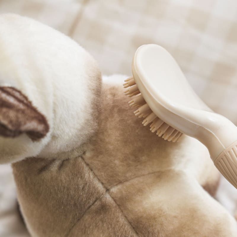 [Animale de companie] Pieptene de masaj mic