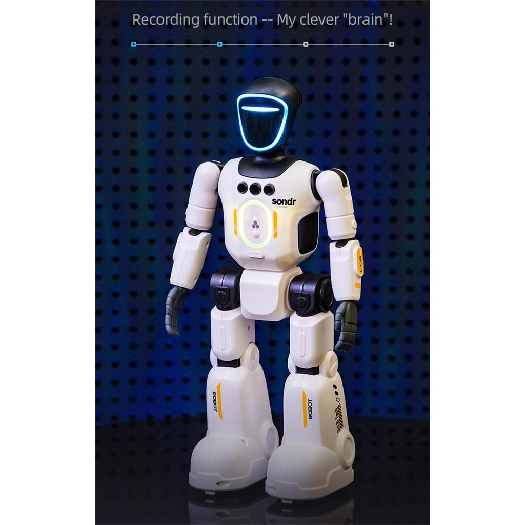 Smart Programming Humanoid Gesture Sensing Remote Control Robot 2.4G Joint Mobility Breathing Light Recording Function RC Robot