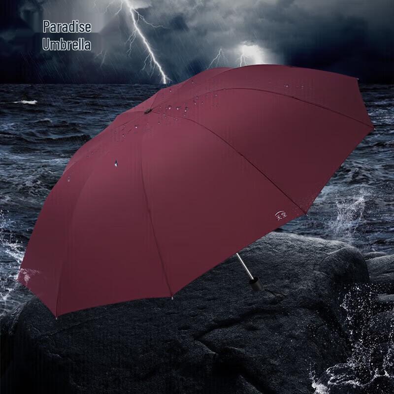 Heaven 10-Rib Automatic Windproof Compact Umbrella