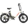 Maxturn Mule Elektrické kolo pro dospělé Motor 250W Baterie 48V20AH Odolné E-kolo Maximální nosnost 120KG Ideální pro městské dojíždění a každodenní použití