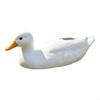 Elemento d'Acqua Luce Galleggiante con Ricarica Solare Ornamento Anatra Solare Impermeabile 55KF