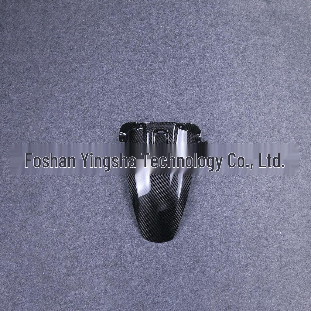 BMW S1000XR 2015-2019 Carbon Fiber Rear Fender Mudguard
