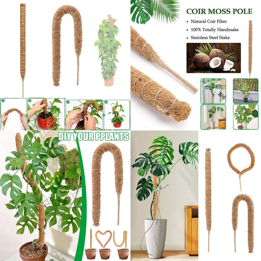 Diy Coconut Shell Plant Climbing Pole For Creative Plant Decor 60-120cm Length