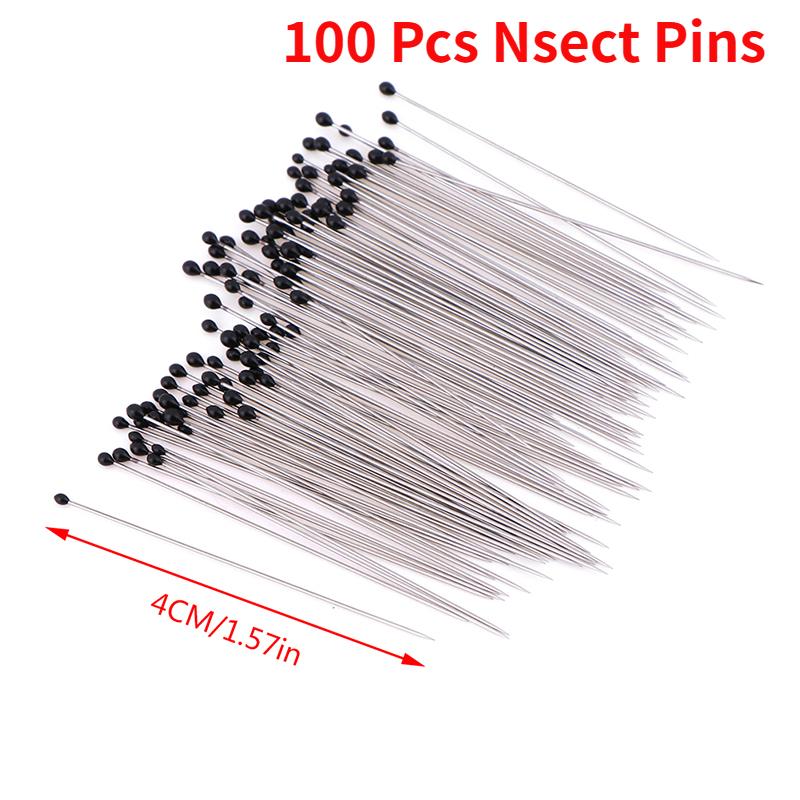 100 Pieces Insect Pins Specimen Needle Stainless Steel with Plastic Box for School Lab Entomology Body Dissection Insect Needle