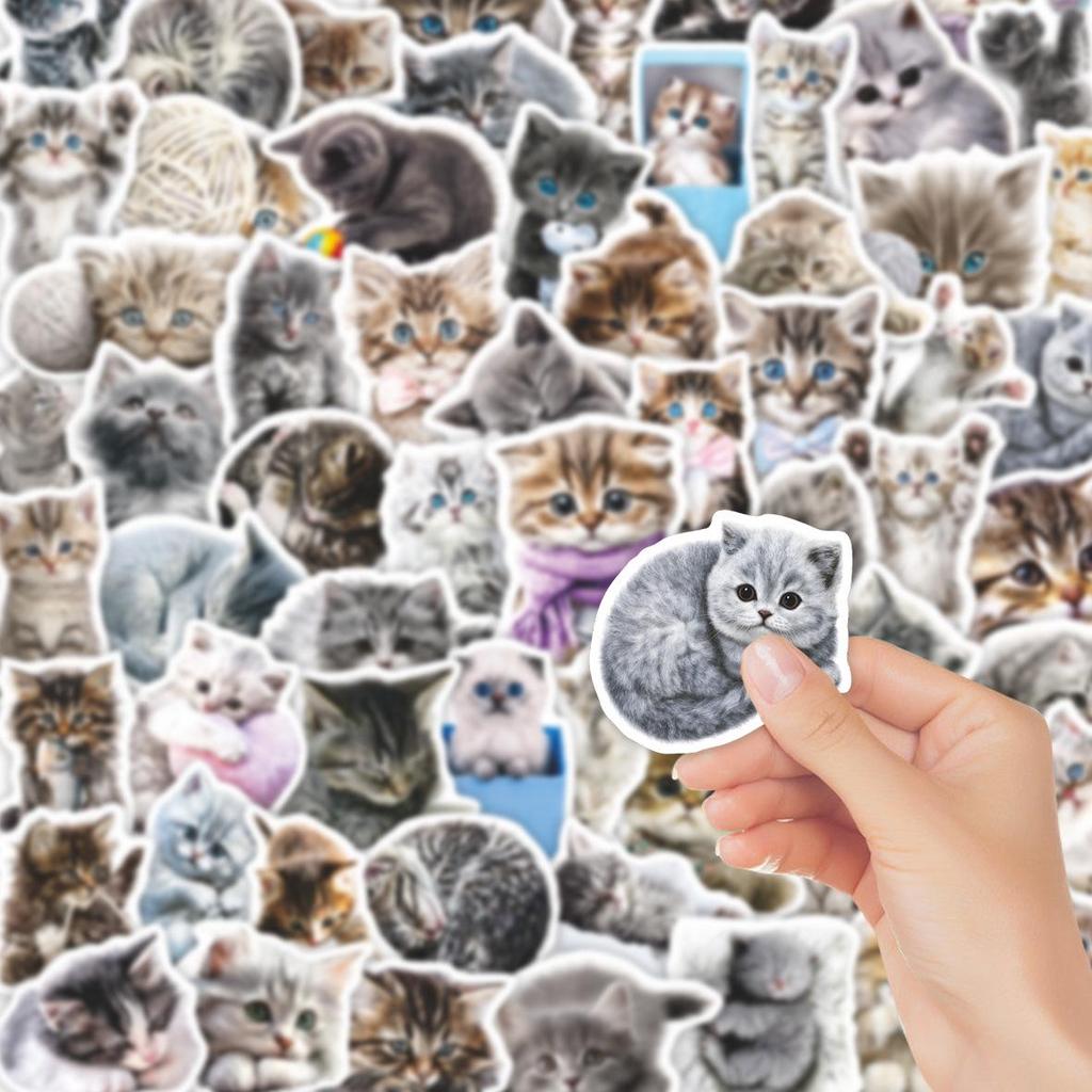 Cute Kitten Stickers - 64 Sheets Decorative DIY Set for Phone Cases & Stationery