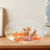 Bol de pește din sticlă Acvariu mic Acvariu de birou Bol transparent pentru pești aurii Ghiveci pentru plante hidroponice Micro peisaj Decorativ