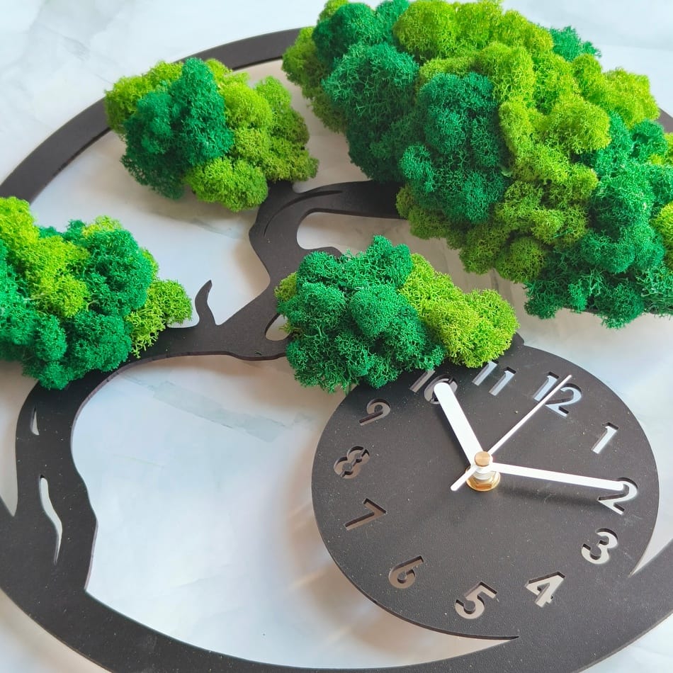 Moss clock, bonsai tree