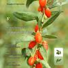 NINGANPU Ningxia Premium Large Goji Berries