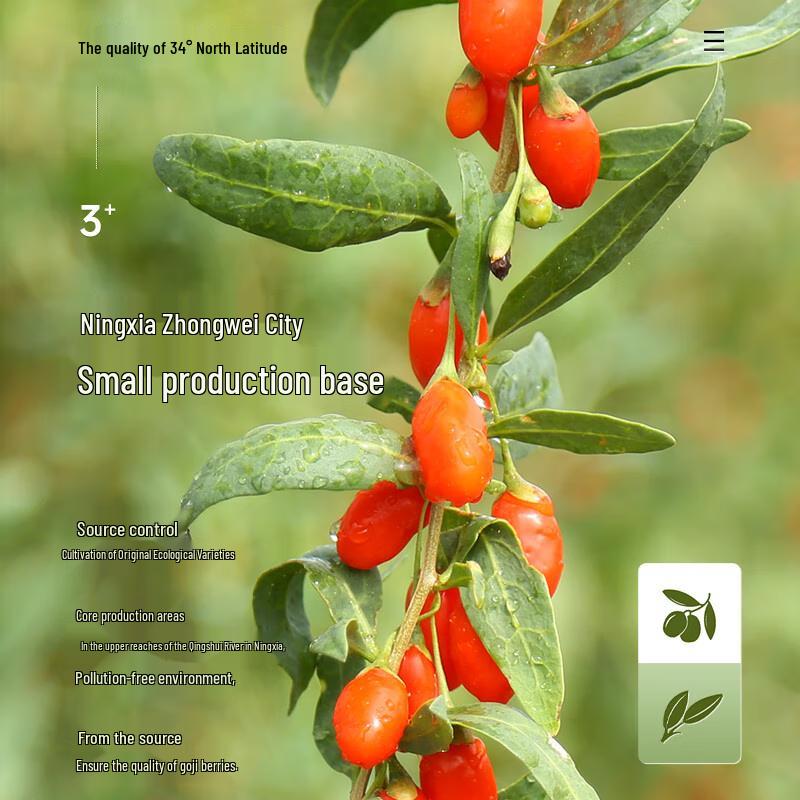 NINGANPU Ningxia Premium Large Goji Berries
