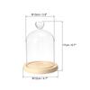 PATIKIL 5.1" x 3.9" Glass Dome Cloche, Clear Glass Bell Jar Display Case, Tabletop Centerpiece with Wooden Base, LED Light, Plant, Home Decor, Natural