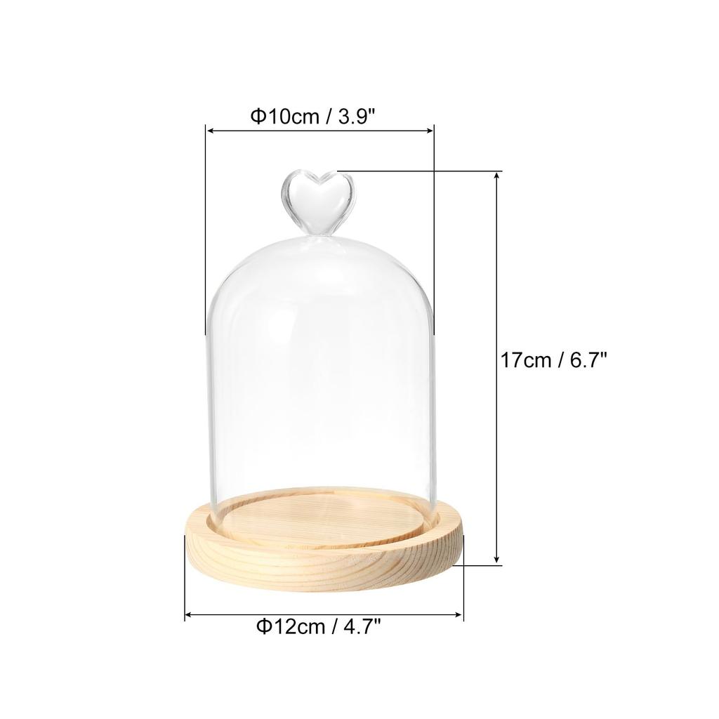 PATIKIL 5.1" x 3.9" Glass Dome Cloche, Clear Glass Bell Jar Display Case, Tabletop Centerpiece with Wooden Base, LED Light, Plant, Home Decor, Natural