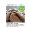 Imabari Towel Certified Face Towel Hiorie Reverse Towel Set of 4 Lavender Made in Japan Quick Dry Absorbent Imabari Brand Cotton 100% Cotton