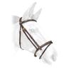 Equestrian Sport – Bridles & Reins