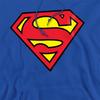 SUPERMAN Herren-Hoodie mit Logo