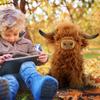 Highland Cattlle Plush Kyloe Cow Stuffed Animal Bull Realistic Soft Cuddly Farm Toy Plushie Home Room Decor Gift for Baby Kids