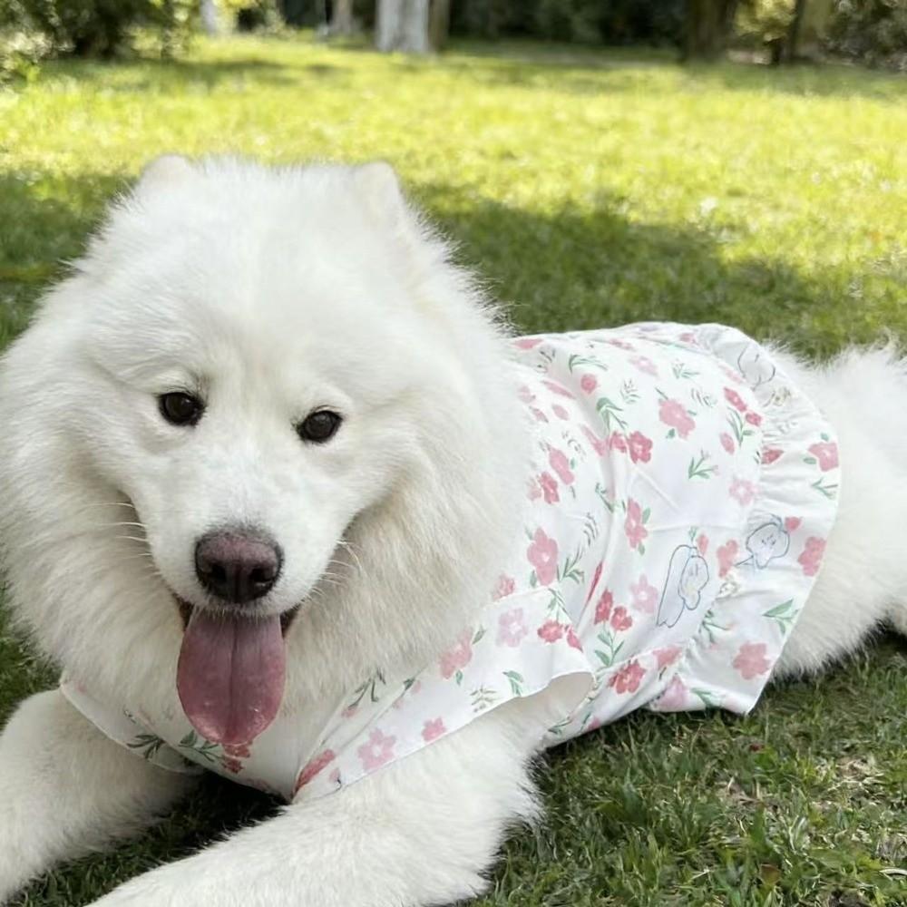 Fruit Print Pet Princess Dresses Flutter Sleeve Dog Cooling Clothes Dog Floral Skirt  for Pet Party