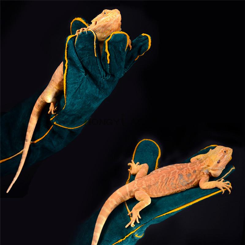 Anti-Bite Safety Bite Gloves for Catch Dog Cat Reptile Animal Ultra Long Leather Pets Grasping
