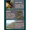 Yunnan Fengqing Dian Hong Tea Old Ancient Trees Longzhu Honey Scented Tea 200g