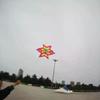 New Style 3D Plum Blossom Kid-friendly Kite, Easy To Fly, Ideal for Beach Park Picnics, Perfect Travel Companion