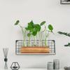 Hydroponik-Reagenzglasflasche mit Holzrahmen, Hydroponik-Pflanzgefäß, Reagenzglas-Blumenvase