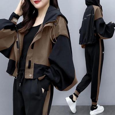Damen Frühlings- und Herbstanzug Farbblockierung Lässige Kapuzenjacke + Hose Temperament Aging Zweiteiliges Set
