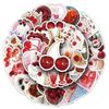 50pcs Cherry INS Style Sweet Food Journal Plant DIY Storage Box Stickers