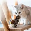 Cats Bird Cats Toy Kitten Squeaky Toy with Sound for Cats Teething Chewing Bird with Sound for Cats to Exercise Gift