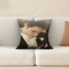 The TTwilight SSaga Bella Edward Jacob Pillow Cover Sofa Couch Cushion Case Home Living Room Decoration