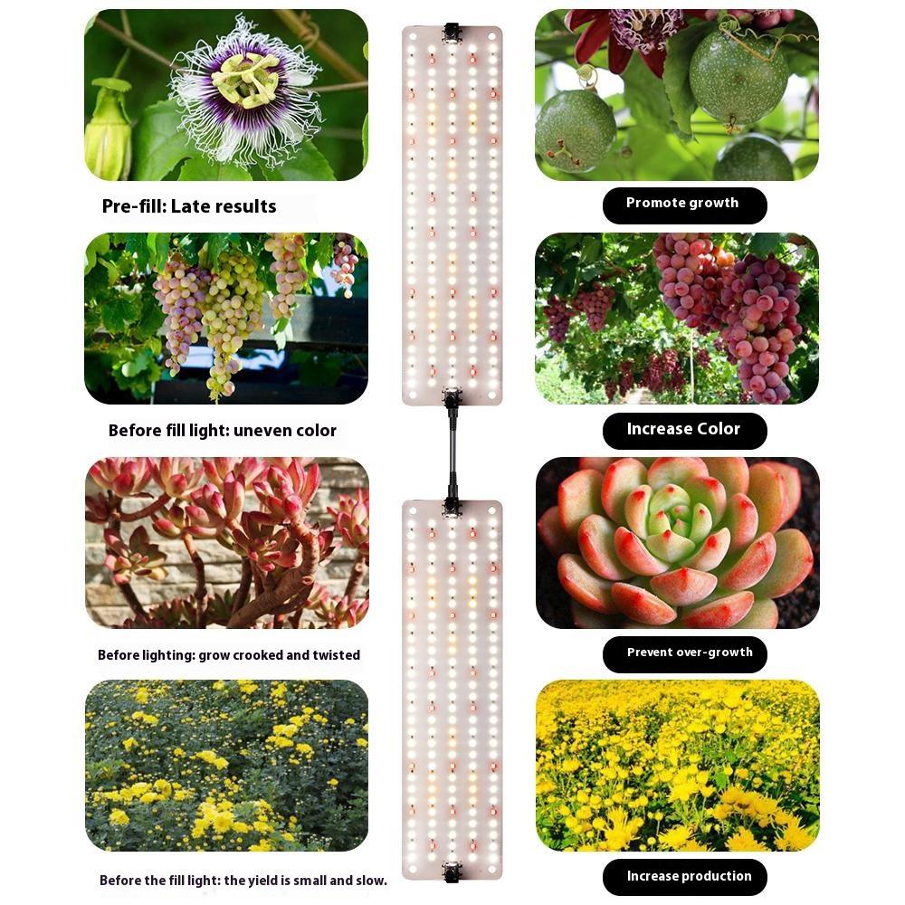 12V 2-Panel Plant Growing Light Potted Plants Shelf Seedling Growth Fill Light,EU Plug