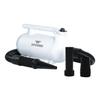 B-163 Low Noise Pet Hair Dryer Tierhaartrockner-Kit Heissgerät Bandlüfter EU Plug