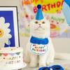 Pet Birthday Party Hat Set Cute Cat Dog Birthday Celebration Scarf Dress Up Kitten Puppy Costumes Gift Pet Accessories