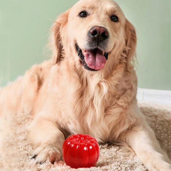 Squeaky Pumpkin Dog Toy Interactive Dog Chew Toy Teeth Cleaning Toy for Aggressive Chewers Puppy Teething
