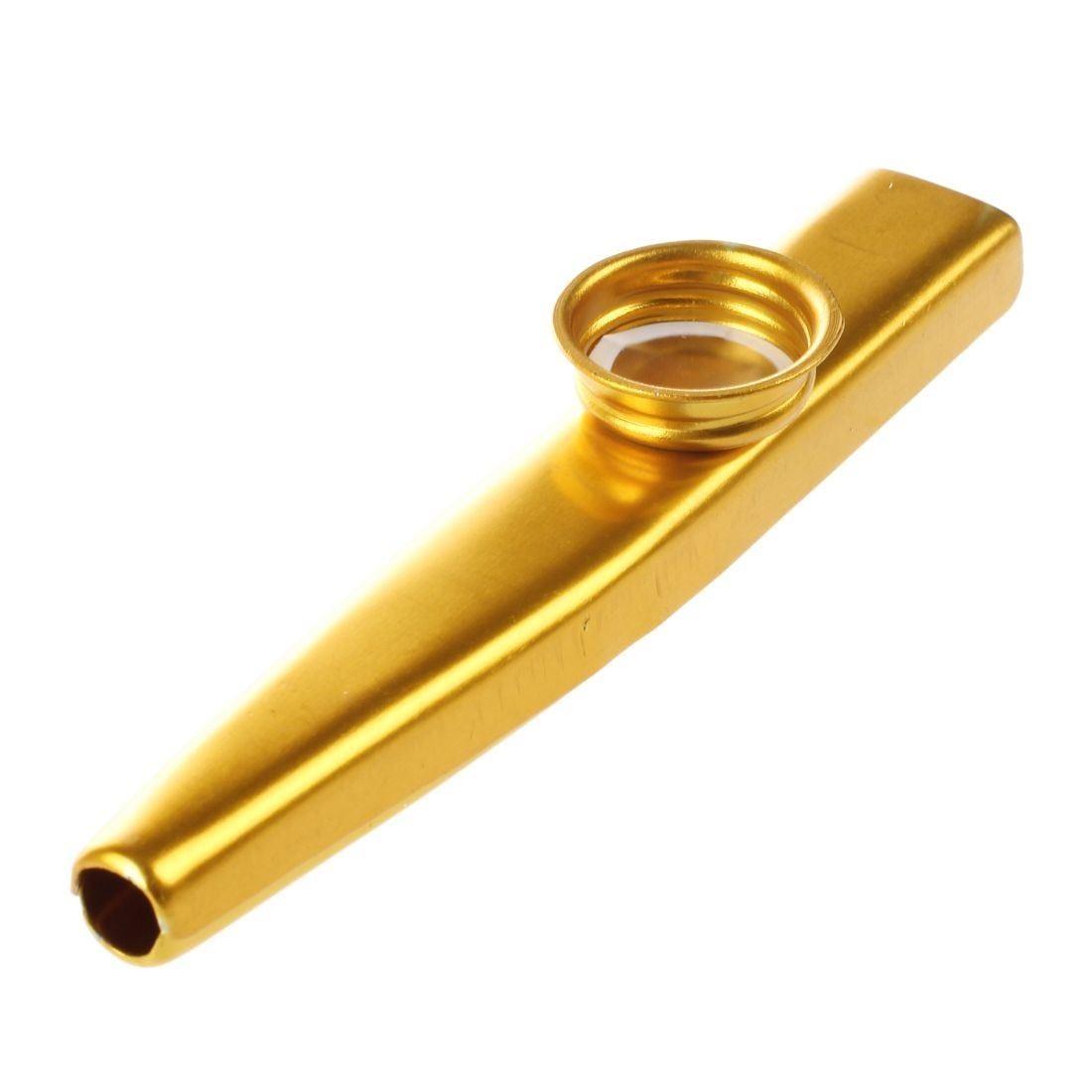 Kazoo Metallico Flauto Bocca Strumento Musicale Armonica Pratica Golden L7C7 5056500768693|