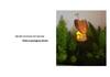 Solar Silicone Eagle Garden Landscape Light