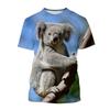 Sommer Bestseller Kreatives Tier Muster Niedlicher Koala 3D Druck Lustig Mode Personalisiertes T-Shirt