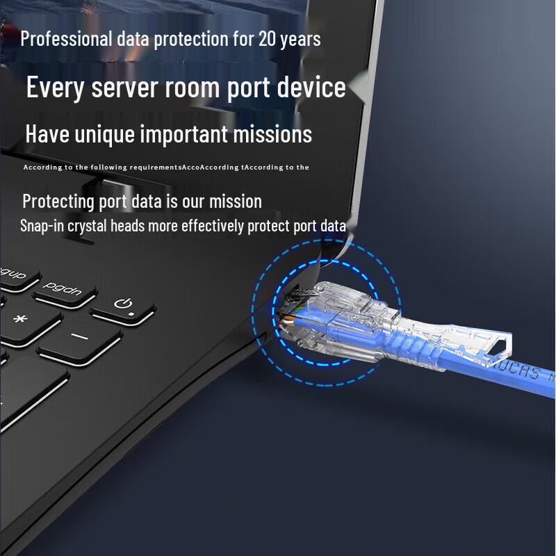 AUCAS Cat6 RJ45 Security Locking Connector