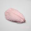 60Pcs/Lot Natural White Ostrich Feathers Handmade Craft Accessories Wedding Home Decorations