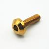 4pcs Grade5 6AL4V M6 M8 Titanium Screw for Motorcycle Disc Brake Hex Socket Ti Fasteners Modification Screws 12 15 20 25 30 35mm
