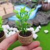 1Pcs Home Garden Furniture Decor Toy 1:12 Dollhouse Miniature Orange Tree Potted Green Potted Plants Model