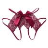 Bow Open Crotch Briefs Floral Embroidery Sheer Mesh Panties Fashion Lace Briefs  Ladies Girls