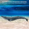 Fish Model Home Decor Educational Kid Cute Simulation Miniature Animal Toy