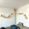 Wall Mounted Cat Furniture Cat Climbing Shelves with Hammock Scratcher & Cat House Indoor Cat Playground for Claw Grinding