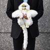 BH6765 HANSA Snub-nosed Monkey 30