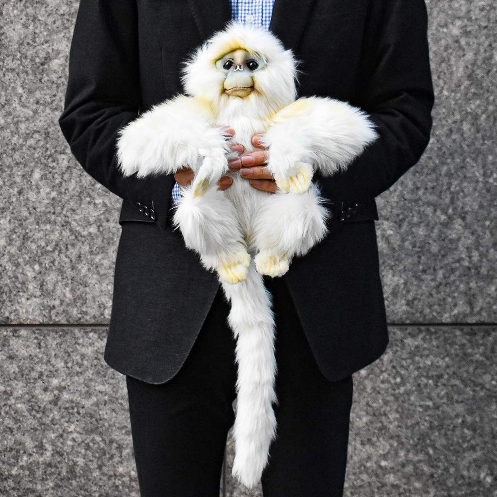 BH6765 HANSA Snub-nosed Monkey 30