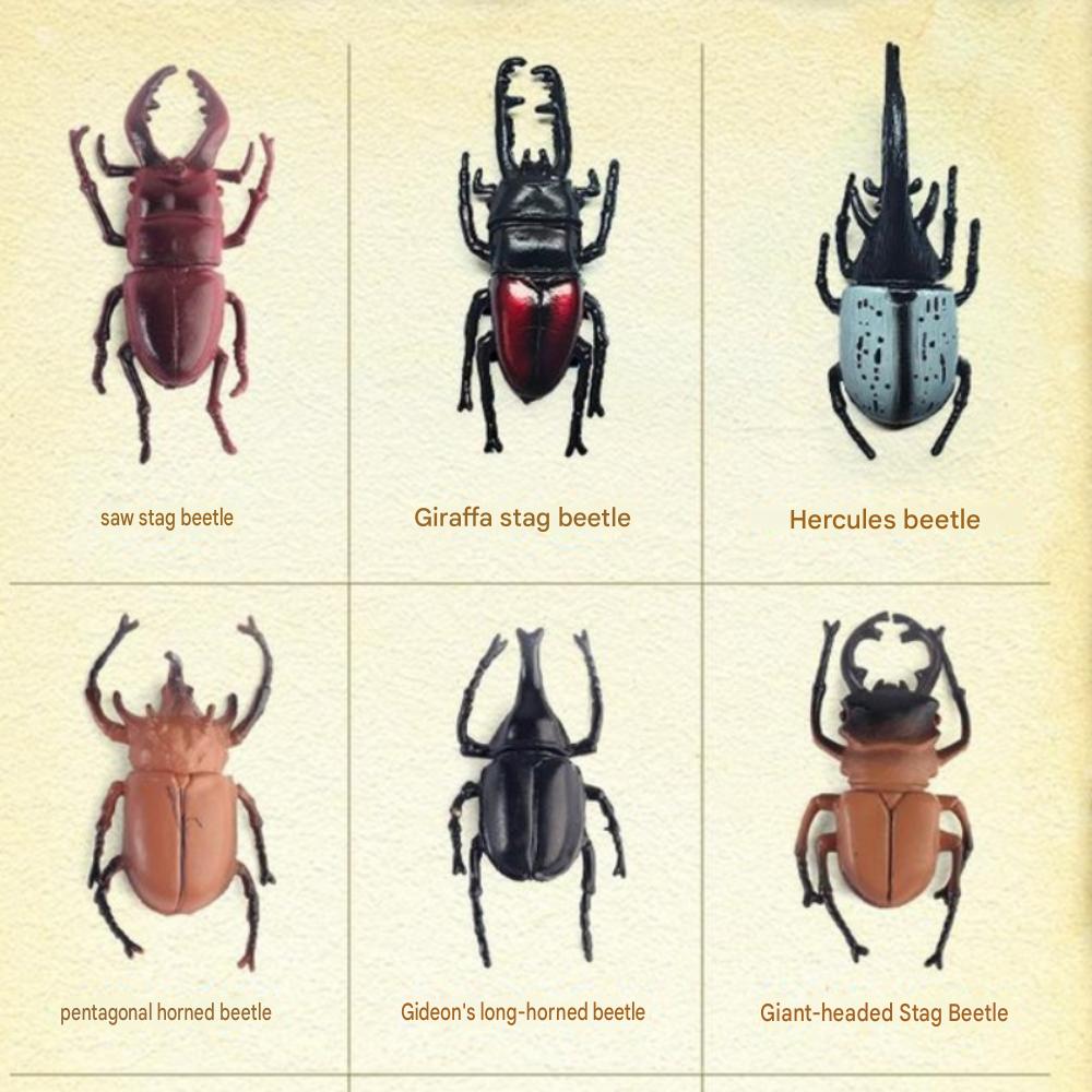 6 Rhinoceros Beetle + 6 Stag Beetle Set Insect Figure Model Toys